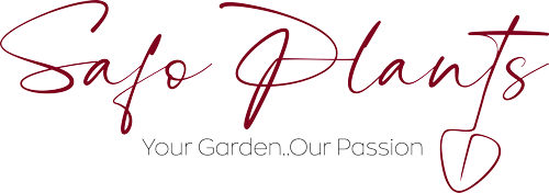 Safo Plants Store Logo